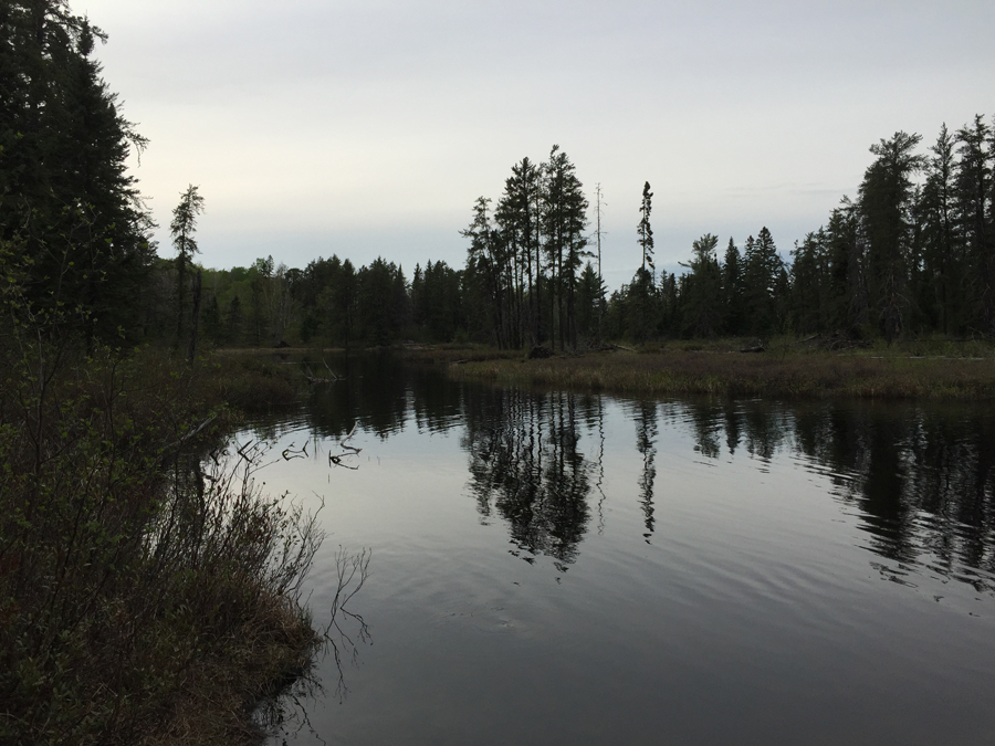 Just upstream from Koma Lake in BWCA along Kawishiwi River